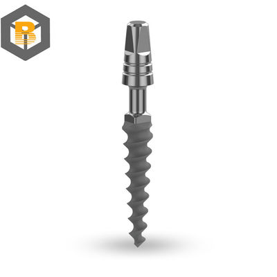 Demo Overdenture Dental Implant Model with Lower Implants and Precision Machine Part