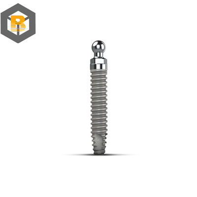 Demo Overdenture Dental Implant Model with Lower Implants and Precision Machine Part