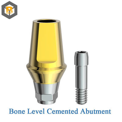 Bone Level Dental Implant System Customized by 2D/3D/Drawing for Dental Clinical Needs