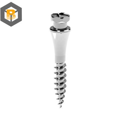 Titanium Alloy Non-Self-Locking Dental Implant Orthopedic Mini Screws for Orthopedic