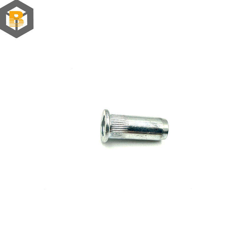 Mini Pack Blind Rivet Nut Threaded Fasteners Spare Part with Polishing Finish BY-0504