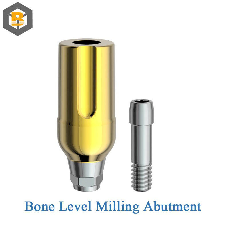 Dental Mini Implant Narrow Connection for Teeth Restoration Customized by 2D/3D/Drawing